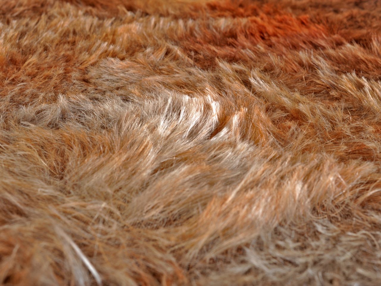 Shag_03_full Shag_03_full